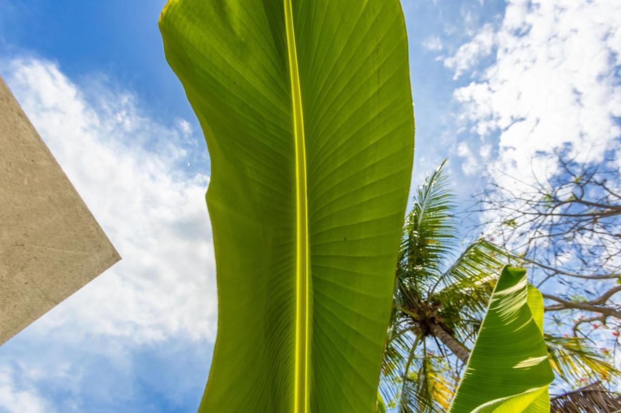 Pousada Mirai Hotel São Miguel dos Milagres Exterior foto